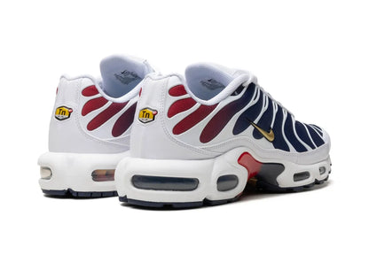 Nike Air Max Plus PSG