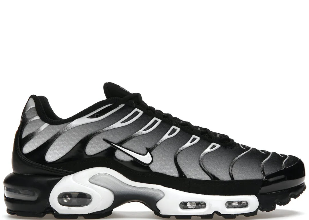 Nike Air Max Plus Black Silver White